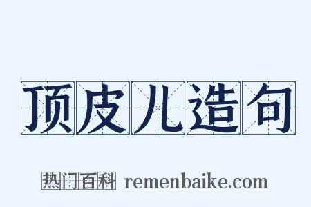 顶皮儿造句是什么意思的图片